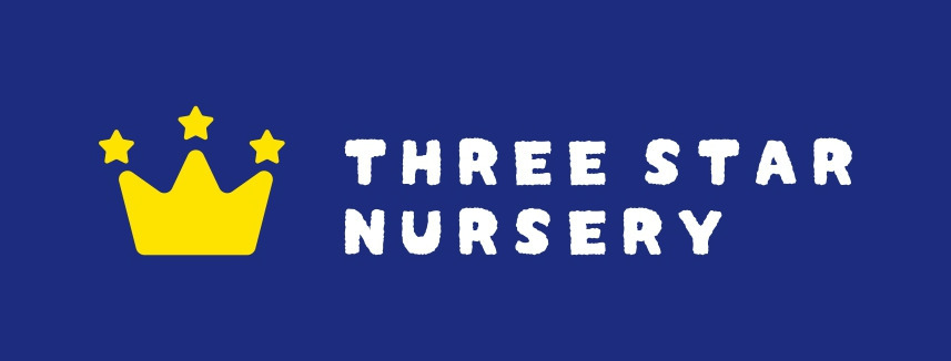 ＴＨＲＥＥ　ＳＴＡＲ　ＮＵＲＳＥＲＹ 蛎殻町園（保育士の求人）の写真2枚目：