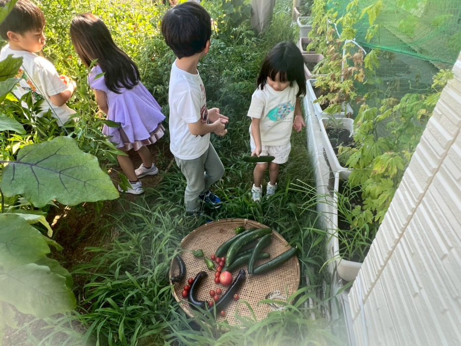 小倉台いろは保育園（看護師/准看護師の求人）の写真2枚目：