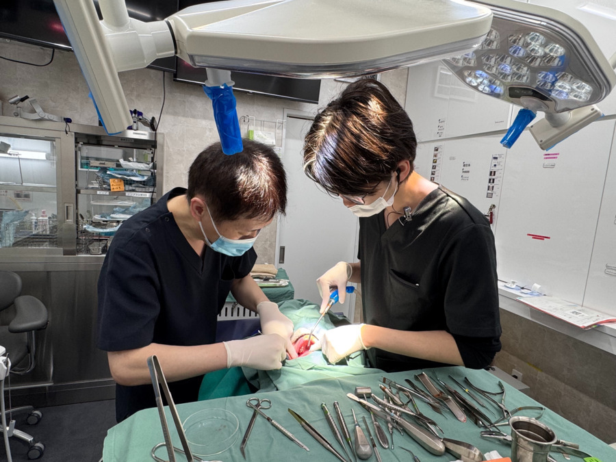 新百合ファーストデンタル【2024年12月01日オープン】（歯科医師の求人）の写真4枚目：東京大学医学部附属病院の先生による、親知らずの抜歯の指導