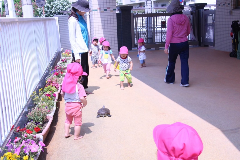 認定こども園　成徳保育園（調理師/調理スタッフの求人）の写真5枚目：