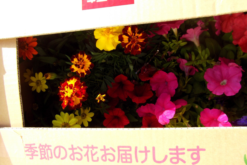障害者支援施設 愛幸の写真7枚目：