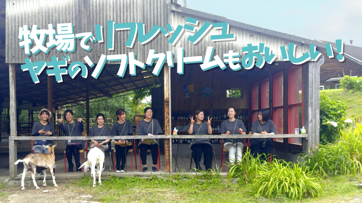 BLUE MOUSE（児童発達支援管理責任者の求人）の写真7枚目：