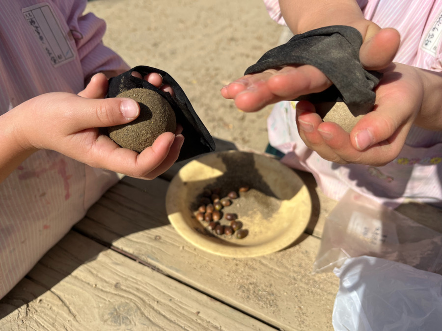 認定こども園日吉幼稚園(保育士の求人)の写真3枚目: