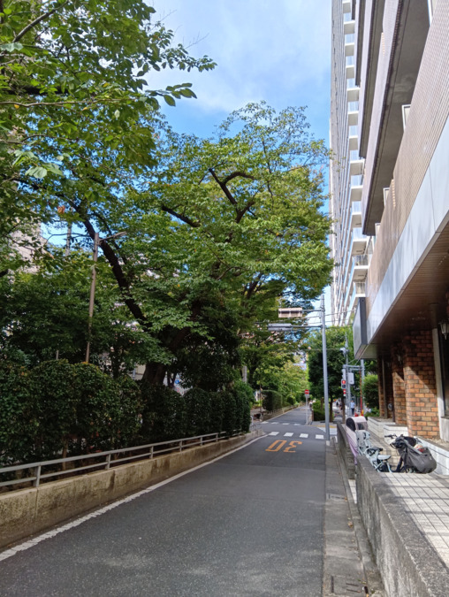 ガイア訪問看護ステーション 江東(医療事務/受付の求人)の写真2枚目:事業所は、亀戸駅から大型商業施設の横の緑道を進んだ先にあります。