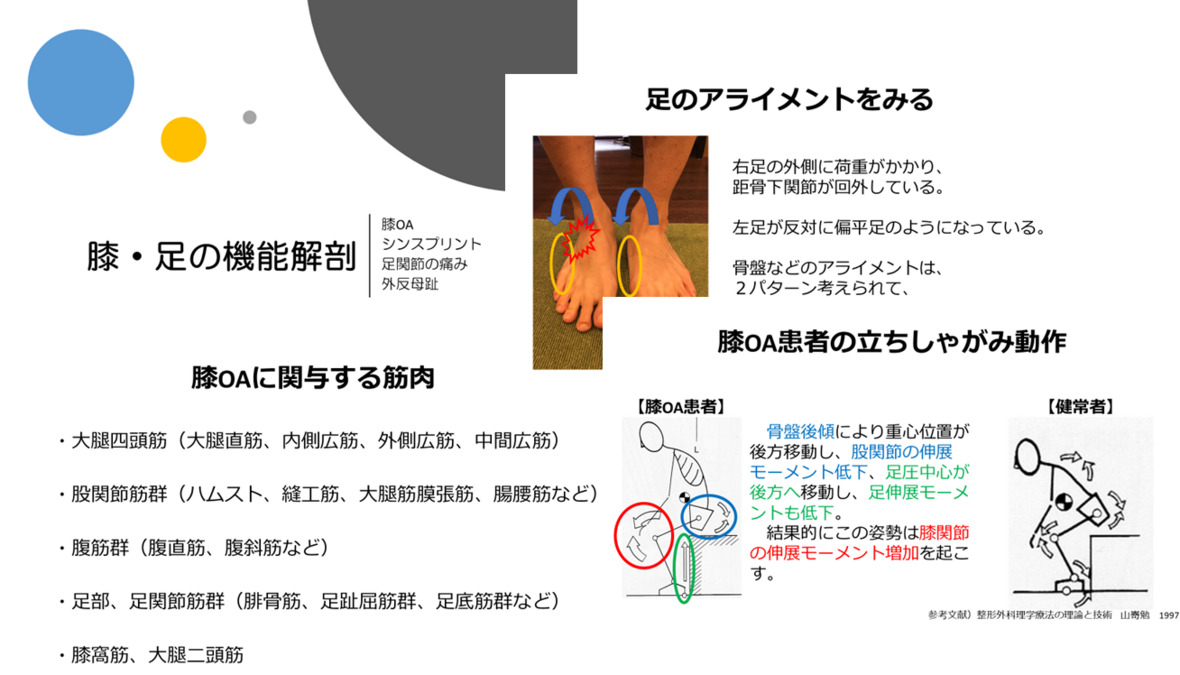スマイル整骨院 左近山（整体師の求人）の写真5枚目：勉強会資料～膝・足の機能解剖～