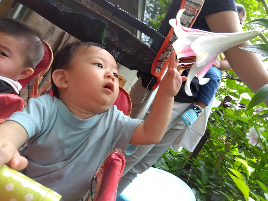 紫野保育園の写真2枚目：