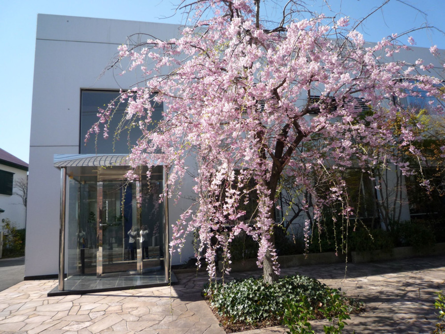 横浜山手デンタルクリニックの写真