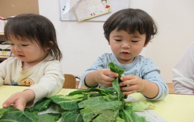 ほっぺるランド西葛西の写真3枚目：