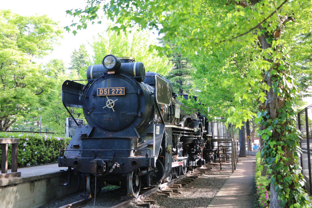 三宿通りこどもクリニック(看護師/准看護師の求人)の写真2枚目: