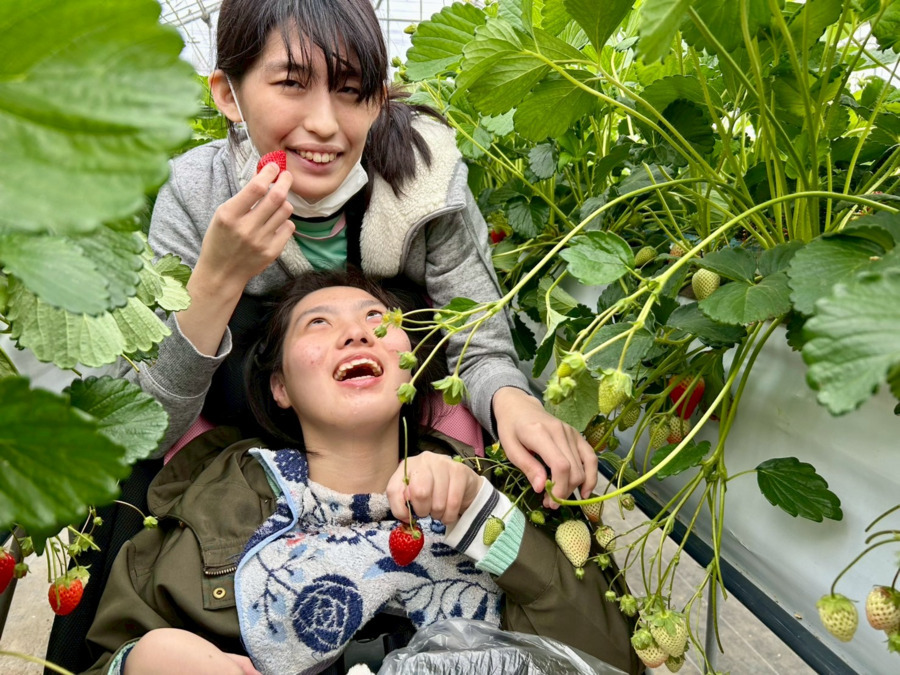 多機能型重心児者デイサービス　どりーむず（言語聴覚士の求人）の写真4枚目：