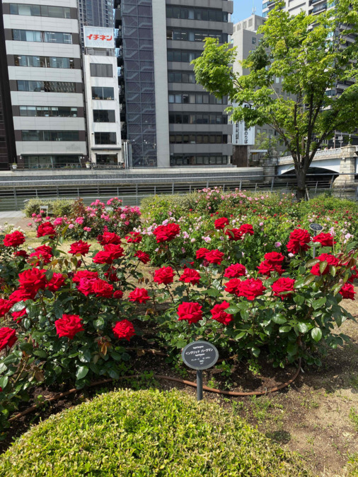 あずきざわ皮ふ科（医療事務/受付の求人）の写真3枚目：
