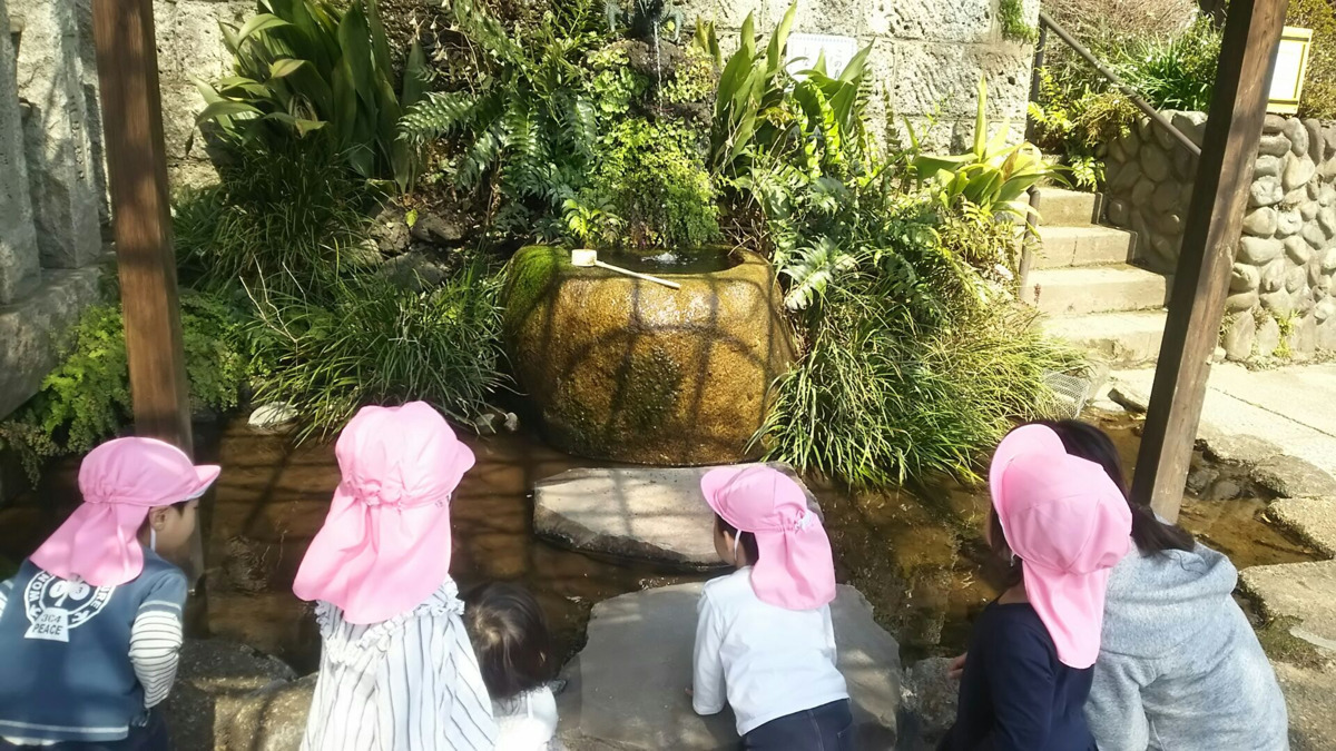 不動さつき保育園(調理師/調理スタッフの求人)の写真3枚目: