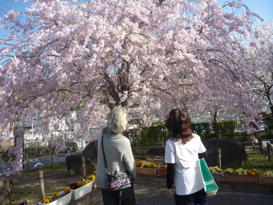 ケアプランセンターLives(ケアマネジャーの求人)の写真2枚目: