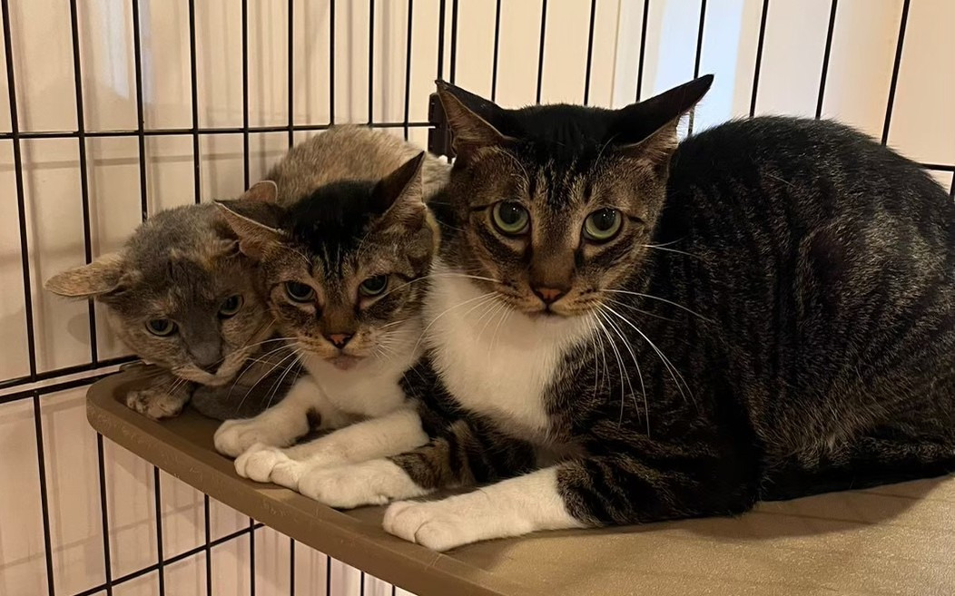 生活介護施設・アトリエカフェキズナ（生活支援員の求人）の写真8枚目：