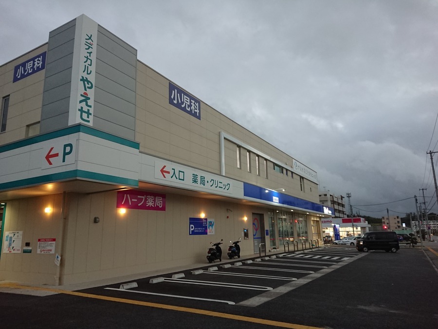 ハープ薬局 やえせ店(薬剤師の求人)の写真:やえせ店 外観