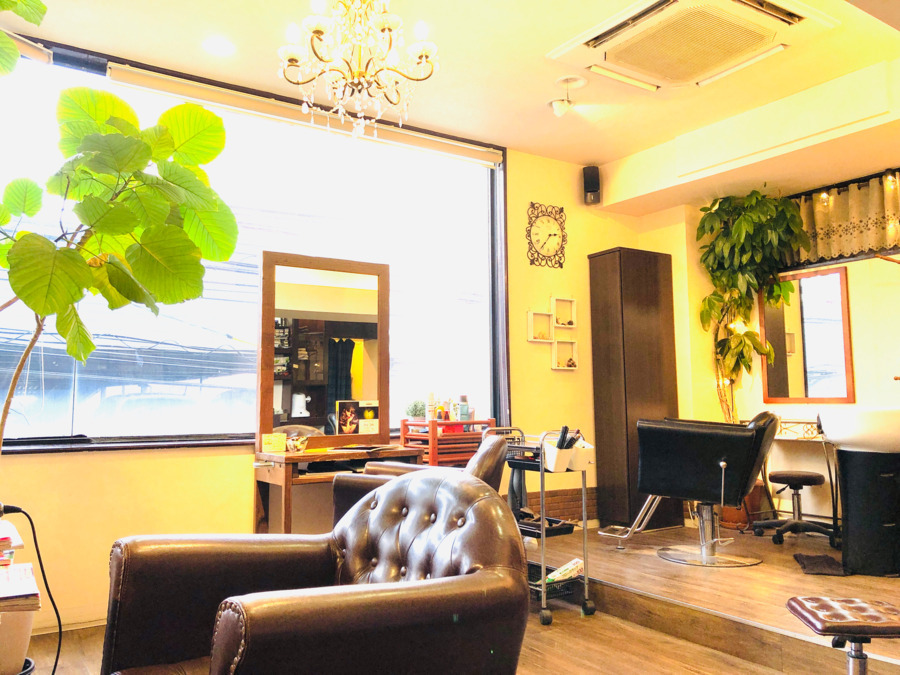 clover  fieldの写真