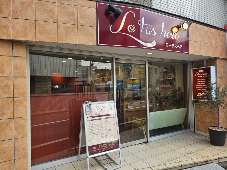 Lotus hairの写真