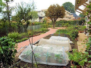 幸町デイサービスセンターの写真2枚目: