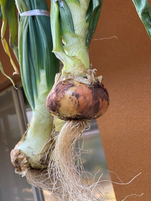 生活介護Oceanの写真14枚目：