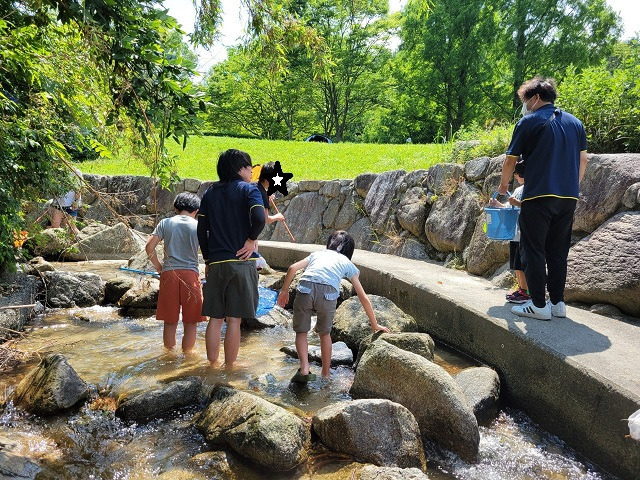 放課後等デイサービスぼうけん島（児童発達支援管理責任者の求人）の写真5枚目：