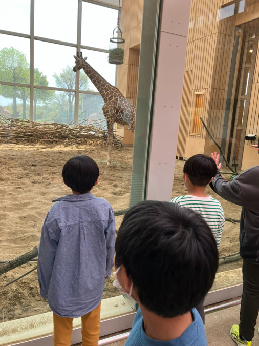 児童デイサービスたんぽぽの写真5枚目：みんなで動物園のきりんを見ました♪