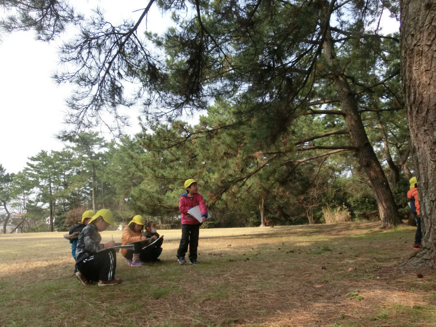 西戸崎保育園（保育士の求人）の写真5枚目：