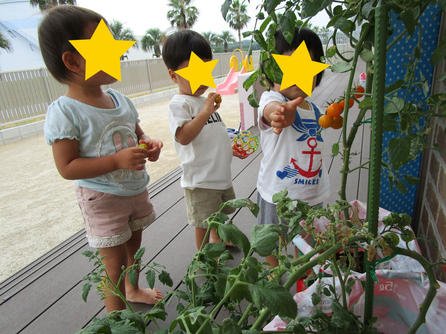 トマトの森保育園の写真6枚目：