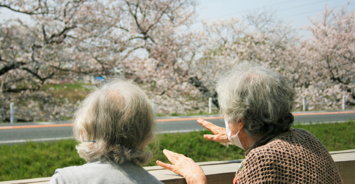 東急ウェリナケア尾山台の写真2枚目: