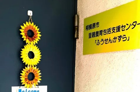 ふうせんかずらの写真1枚目：