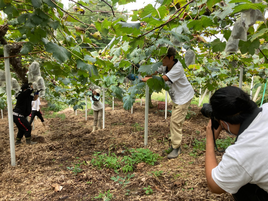 P.P.P.オールスターズ！布寄の写真