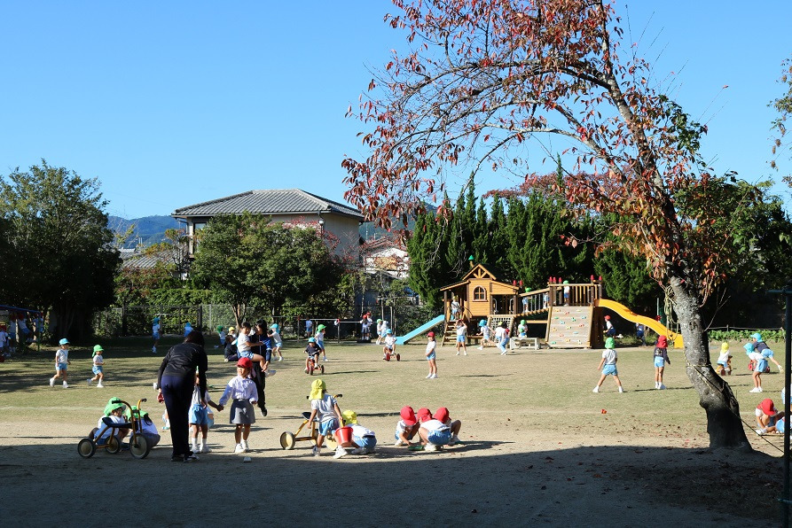 認定こども園　京都きらら幼稚園（保育士の求人）の写真3枚目：自然環境に大変恵まれています