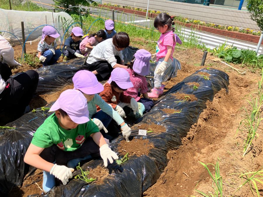 キッズラボ千束こどもの家（保育士の求人）の写真2枚目：