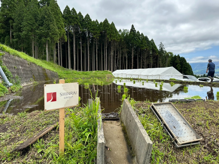 株式会社九州東和薬品の写真1枚目：