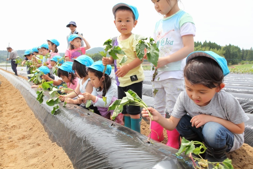 上野の森口保育園の写真4枚目: