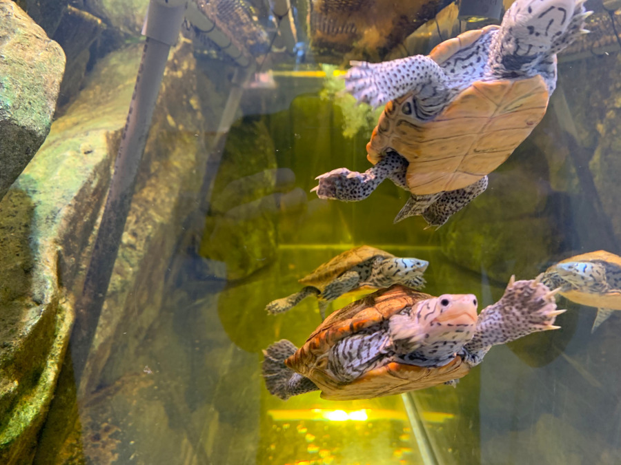 AQUA LAND(サービス管理責任者の求人)の写真4枚目: