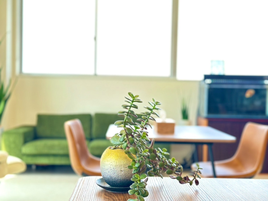 住宅型有料老人ホーム一花下津(看護師/准看護師の求人)の写真5枚目:季節感を大事にしています。