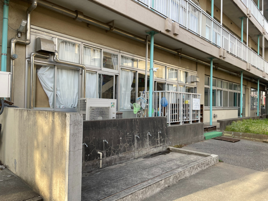 大成コアラの写真