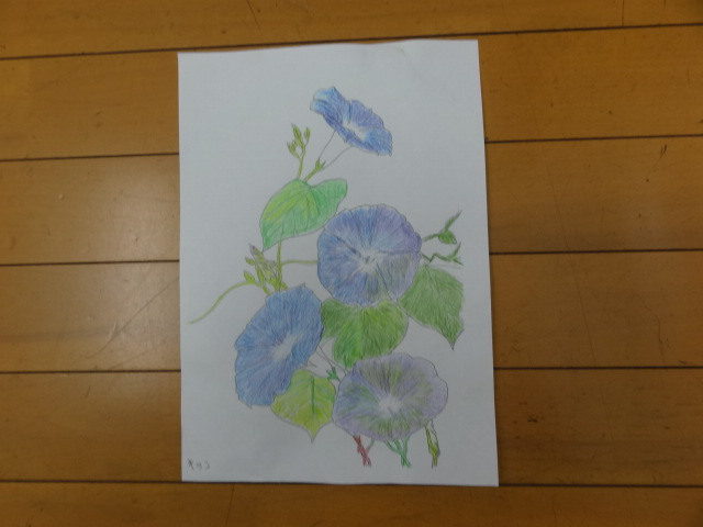 デイサービスおちゃっこ大泉の写真20枚目：朝顔の塗絵