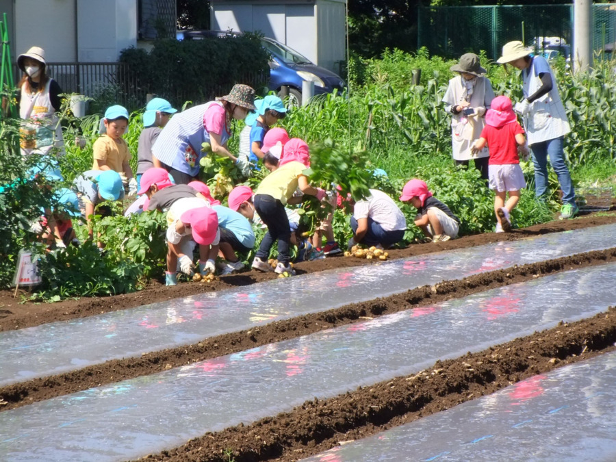 そよかぜ保育園（保育士の求人）の写真4枚目：