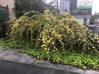 松葉内科の写真6枚目：