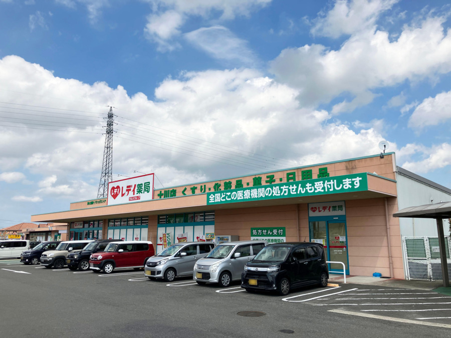 レデイ薬局　十川店（薬剤師の求人）の写真1枚目：レデイ薬局　十川店外観