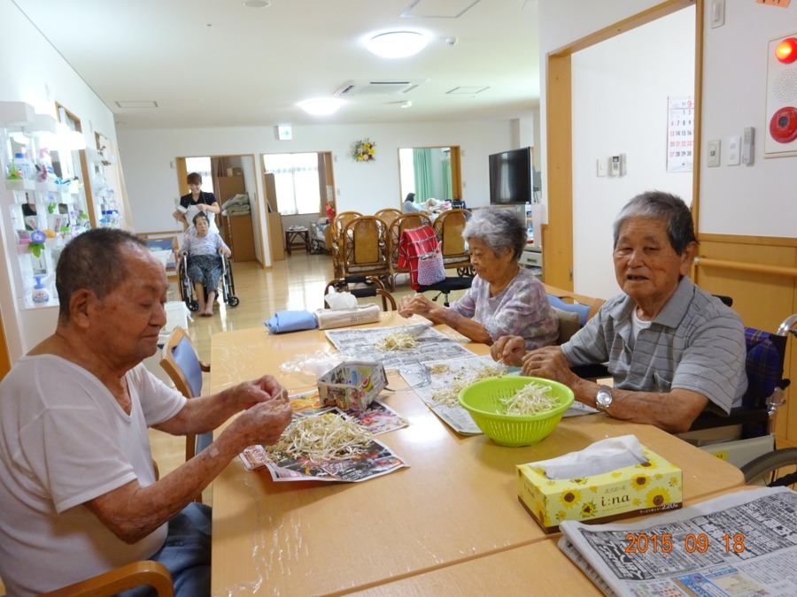 てぃだの家　かみもりの写真6枚目：みんなでもやしのひげ取りです。