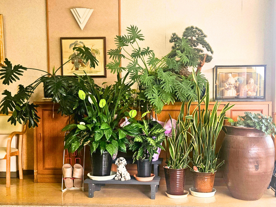 介護老人福祉施設甘木愛光園(調理師/調理スタッフの求人)の写真6枚目: