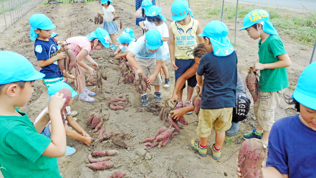 ブルーバード インターナショナルプリスクールの写真2枚目: