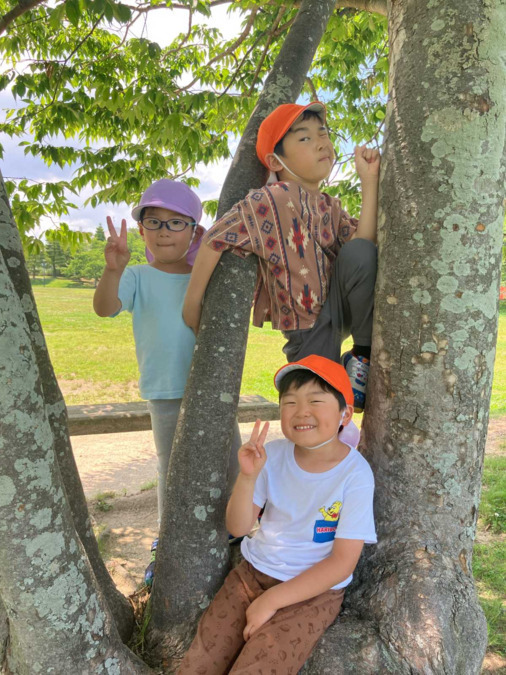 じぶんみらい保育園 奈良（保育士の求人）の写真3枚目：