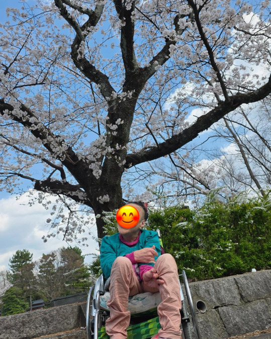 訪問介護まごのて吉祥院（介護職/ヘルパーの求人）の写真5枚目：