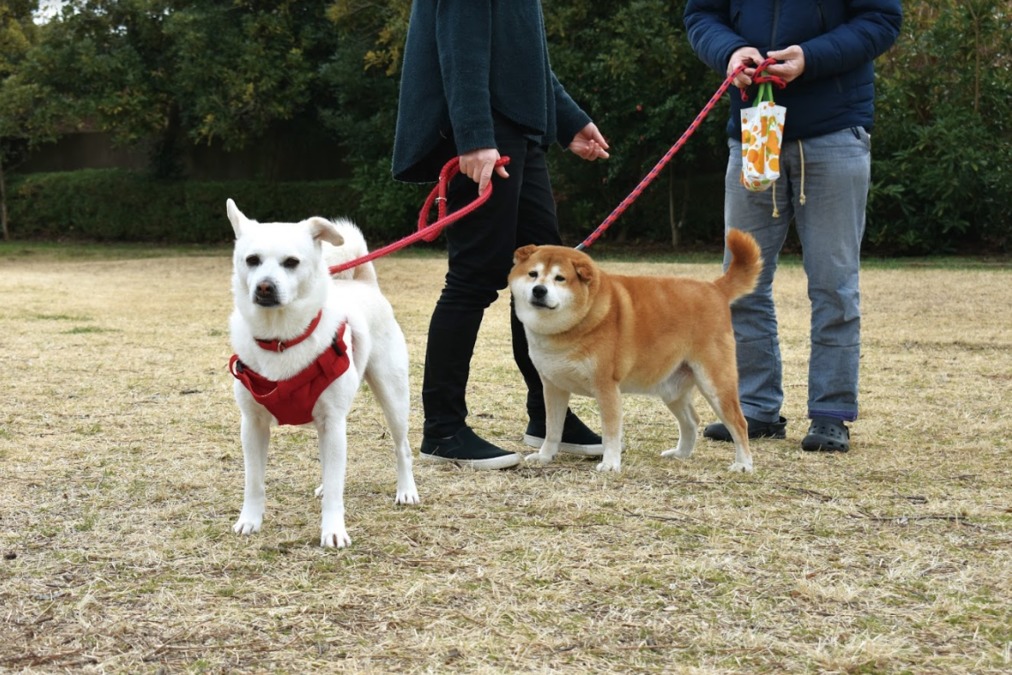障がい者グループホームわおん浜松和合町の写真2枚目：