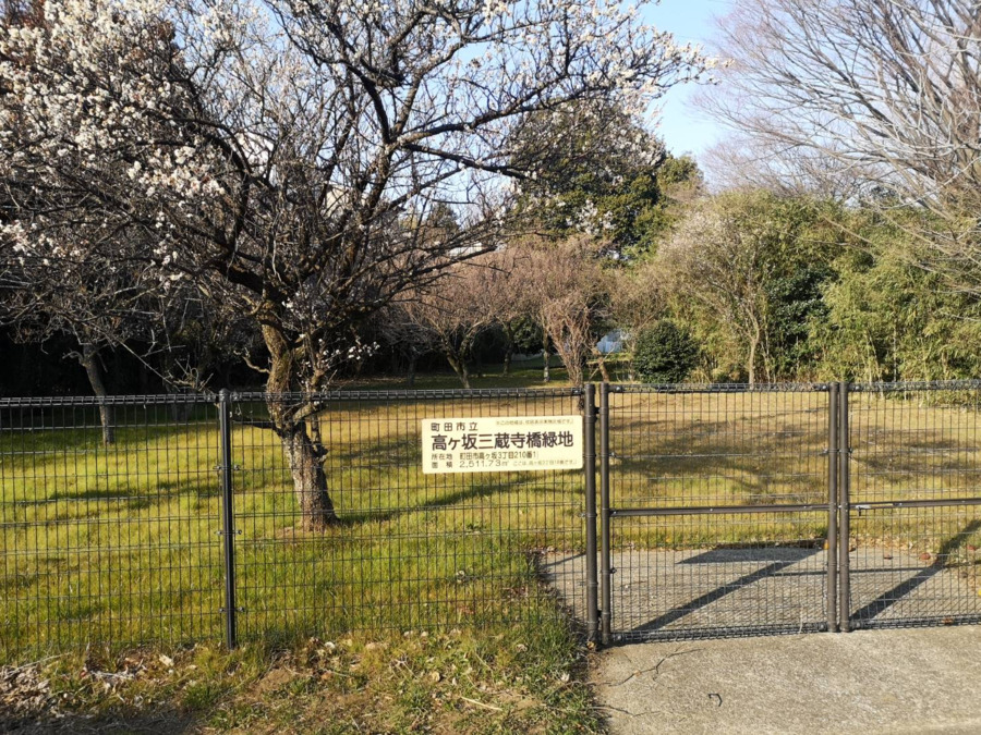 放課後等デイサービスZEST町田の写真7枚目：近所の緑地公園では、季節に合わせた木々や花に触れることができます。