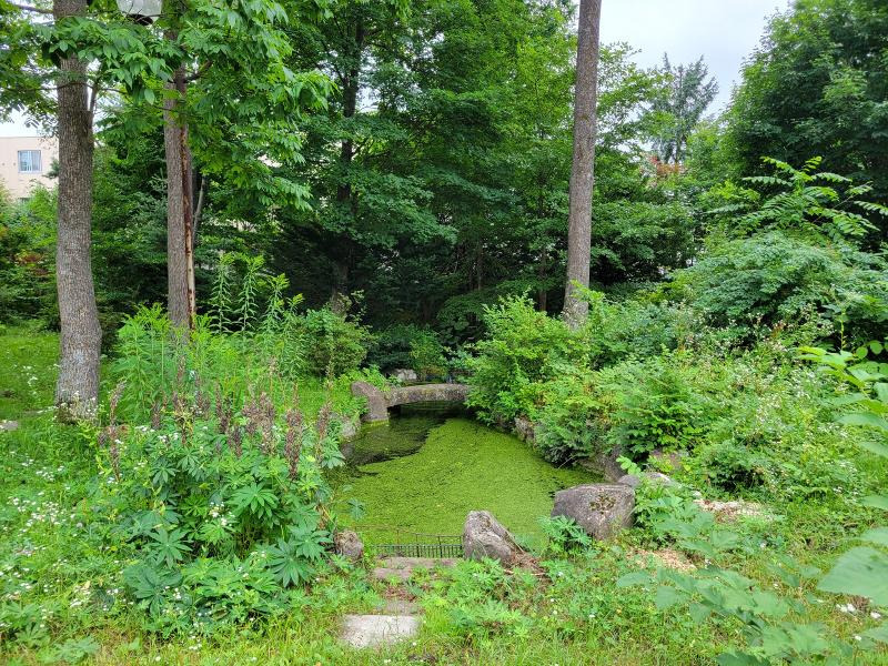 WOOD GARDEN（保育士の求人）の写真2枚目：
