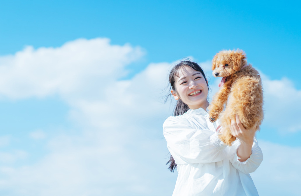 ペット共生型障がい者グループホーム「アニーふじみ野」の画像
